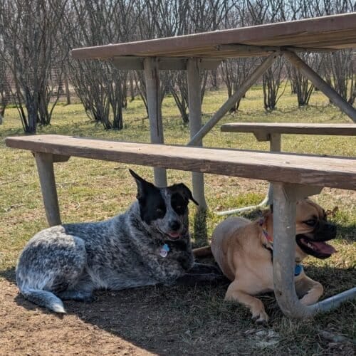 AC9h4nobOtM1zbpaLSa7y7d 8m6sid2te8qCU0KeszIwuzxVSoQlMJPE3MQz4OAQOAcNQwCUOklHcjRS67AeSuvDY V8dWSC1xR9fv4c52U WcQnQQw1600 h1000 k no