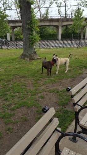 AC9h4nobVPpfuNZYO2iNevA0X0BufBdFK2Z2prc0DvbWE7654plYLXdzslRjZ4Ym7N6i8DehLpy gRX6y4 UJzsVjLunLOvdsFez1tKO4cENNi WVnl9O6V84feWiXLNsJ1TQSuE5IlmrAw1600 h1000 k no