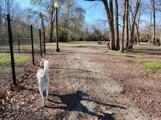 AC9h4nobVYHsc JindlP3I47mpRIuMQZ wIcZzPd39QDawXlKlccy8gvTeYS0KVbiBCmmhyWJ3L62v4yHf0JRKkYRlnxmXTmpBkXKjl285qUfyePDkMonewAu1Z uWbMeJVRPw78cdHnw1600 h1000 k no