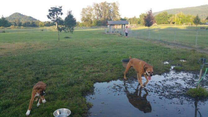 AC9h4nobgQYdr8vhH665XVFD0 oIGptBdJ H3M3Ol6nxIFbwhEHxrw4Wkjj0hXFmk4wiyzDYiUYX0RBzK8UY0YpTgiTEbfMlQGA3HfoUPZDqFli1dzpUIGh6uyU4zTGtJgq14VkL0hcw1600 h1000 k no