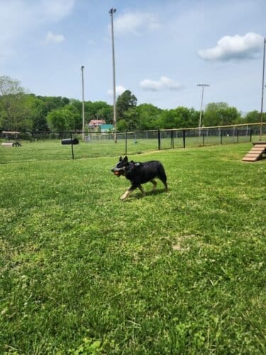 AC9h4nobhFUzUWM8bDqnKYQrIP6JIq6uMxFvEoo5IE8aQtH5iLlc9eV4dPGKTYKAQizRKET5ejwTk9TuI1COQYyEljjb1iLNWOoclDvNjwJNBB0YHFPfxr6W1KxqIKwuN A7jq3yJPUw1600 h1000 k no