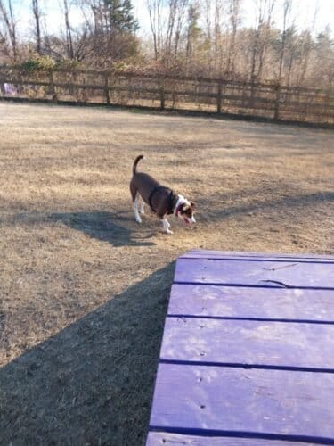 AC9h4noboSOxflofjPPHn jgcBiQr bpTJrgX8J3vT5dywPz 9 HiVmiYnc7KDs5 OetI8MUR P4LfK4tFZ79ujfsQr gg  YwBD84BDTv9621JZ4QyR23ctRj6kgWrt1lUVmiU73Oz8w1600 h1000 k no