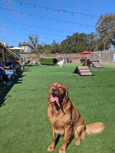 AC9h4nobu2LAhLJllPH6Xzu KqdQtc7ZUr v5qSZGKQMF5y7NDAwKQLs6yBh25GFnQKuSn6bxSGAZzPQfzXMl3PyVP G7KfTovFX5Gz 7B7PeyN3Miesx T 8zysrEtSAdJE0LYJhvilmAw1600 h1000 k no