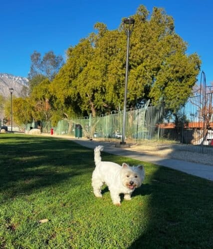 AC9h4nobwO88VzRWROXxvmex fLP7 jJRAjp2KFnNHY9R lAcSjUwwZvZD UxJJEh2As k0ISH5G5HA6hlYL5GFdXFeFF jIuQaq9d BIPfiVJOaFl H1KgQZIQ2QuPQkKX3GJ00aVAw1600 h1000 k no