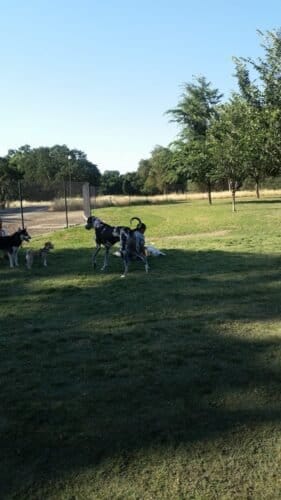 AC9h4nocGWGlxQ7NofsOYFrOWXXUeyamkOib83Cs Ib2dDQHpWFPT8TDMXkOz2S5s Oy6jAMwsoUFIh0 XJ 8aF2qeh5IIYoFtU1wt4 vtATnxT15LRpkc6WQckN VnmKvwpf8GnUK cw1600 h1000 k no