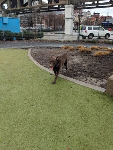 AC9h4nocJ6lNT6gUqMo5tA5hd2BehIMC1kMOvtZQZHlMvTqrfF3eTfmIqmK7VQMfBE0GmpMz3m8YihR1eOP02PqwTCvgHUMcjC7nZVBRBbA1JdsJpWYjeAy fvreSXM66kkY 6sZlpzCw1600 h1000 k no