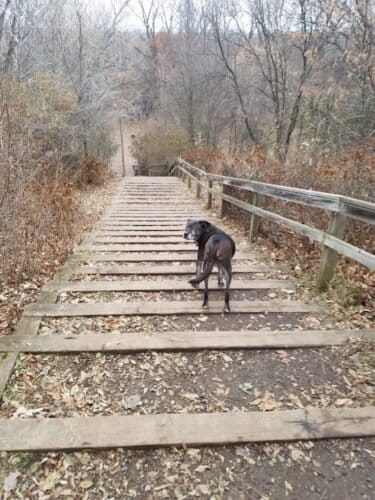 AC9h4nocPCGv5VQgN1Nq9Ds oyxFh7LteqJkCsiNjXOmTXcBidLsc43 Rzsj4TNeozfb9lofRqIu8ME8sIsbQtwGF57I89G133DpYHbybzWlxCnZKmvtatGjXNZpJHhteR3Uq i Qsw1600 h1000 k no