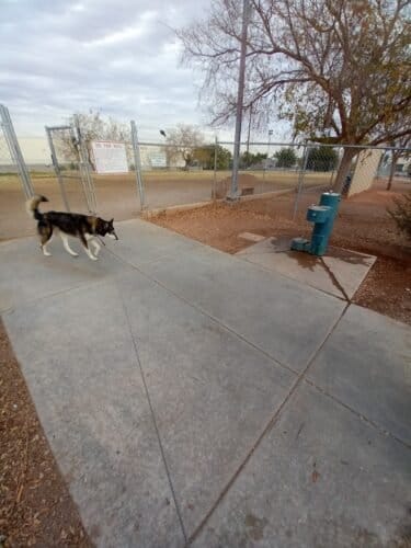 AC9h4nocXEhEjuZrjnmQyPUPiJoPYl6u8vXg67kte2U6XD2jryPfLe90TC FFj4vOEtIQnOMyCN1L8Jlbdhxi9f2QHeCVjeRm4wN41OD1QKsD8UYPxtbE53tE1cXJnsEX1cMwhxCEuySw1600 h1000 k no