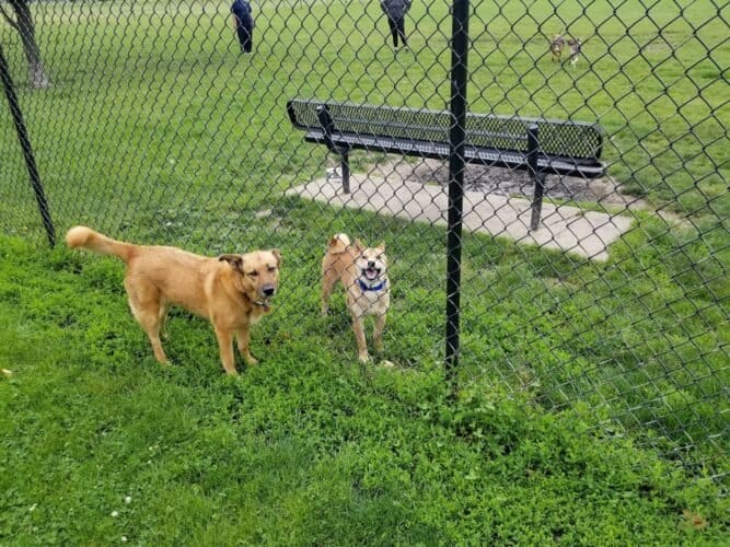 AC9h4nocaCkqFwxtjfy8Bom4VhloD8CXA6lpKJ0RvKOMOkGtaQCvL20PgfeeZLeJow5z8 Z5cVtp6bzNzhxIj8KM5vI1zVb YfyAWK T XewjYUgnMAT1X6Vf1aaxeY 1tSOCdsqEz32Agw1600 h1000 k no