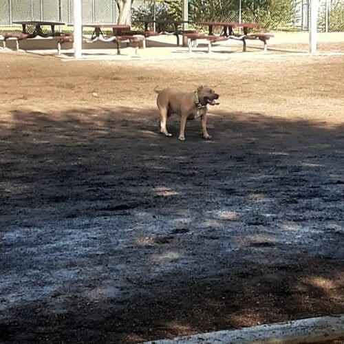 AC9h4nocaErfahbOOEj3HcDlsHQ80jHKL TIrZ6IeVrvS3H dFEQpsiNPpFT 0 OI OJID VHIuYT8VrkuGvDK77DfKgUKX7lcHLGI2Tw9xRnz6FpZ XYaebtlghZq d3taJWnmTWY1mw1600 h1000 k no