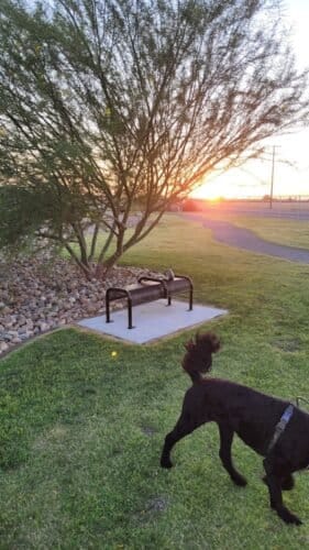 AC9h4noceO6JyIELom Nd6XIdnCv nBHBaWOAF 1dnF0ToMcrX4pXFRp1A2fQESgU7KIeMqjpYW8ji2liSiOwBG5FCJmGCWKmnxnEcKezzmZVqnk0zfvVnQZSV92XFc9iSq5K3KzDQiaw1600 h1000 k no