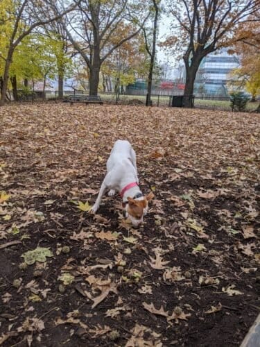 AC9h4nocpM1uRyfHZjvkJHo36ShaQcPYQ9 dcs4kf0hcpAFMiuH7Ldv9BjZvVcwEeKsT9uQgNECJcV0aekl2JqoHKb4wjP2Y8Knc nFx8KJRj2GtIAn6azsdlqsB13iIIbuvxNvH5 qw1600 h1000 k no