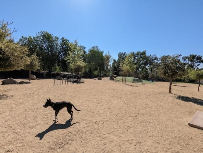 AC9h4nodDH0ibwaL Qzc3 C819BJBYgH3O8 uiDfk0gzg3CX8ofyKARV2ZyI2jO0wWKGN7 iOk8pOI7UWYEPuRvDxN4IyYNTCy73BPR3u11Ay9msDQ6KHVm7WUf R6R5TCwKNM1w8HqFw1600 h1000 k no