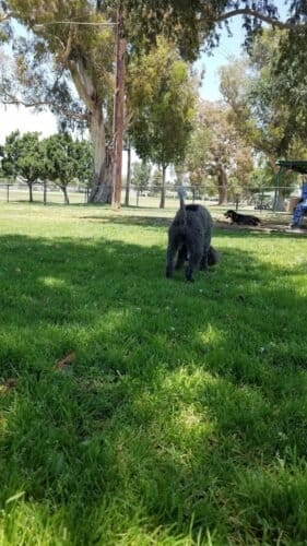 AC9h4nodM2vjyPXArIS6Wam6nA5WOI7arKYOh FVXZp7KTLZoK8ZacQsNUvHZ evvXzdw96CvKdV34mNAW16FmT17t2YMo  vdPzl KRewE lItQUVPoEM3AYW6RMPQCnOMmEUcW0 uT7ww1600 h1000 k no