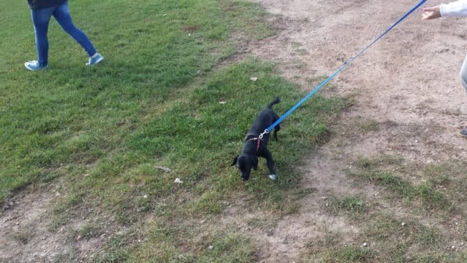 AC9h4nodRa1 O2N 5JpuHeGOAAavaIyiHRHWGJYnutqyVUpgRl LQoII6RTHP7ne9w X1iE7PzZHCecxKEBqgi61LGycpbFF3UucWK lKZt4XBxVb2tSbmm3VDUUh6SJXLbQnX2j0hUUw1600 h1000 k no