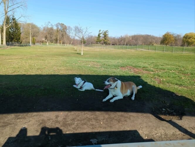 AC9h4nodepYrhpqAAEzgzUmAIq lV0iuhX7RKk5bVa Xy14fVmvYScQgjzp1oWgskxte8I2itATb0Hk8pTU6pU9VtA8fOSivP0IIK0fH78uu1ksyl9jE9c99I5Nee95oGB7eQIUcNaPHUAw1600 h1000 k no