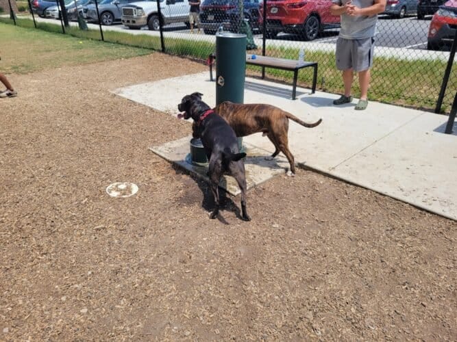 AC9h4nodjaM4dQyQfNon Yeue3APd7JphXYvQT5NGs5svD6VacAyLzoV2ryev fQrX3PgCZJ8WUqQevkQahYfWefe7NgJ 2rjtSiiRCe6PhSMbffvJ7r7LH5NGCxMHEM15mqVc2avRgw1600 h1000 k no