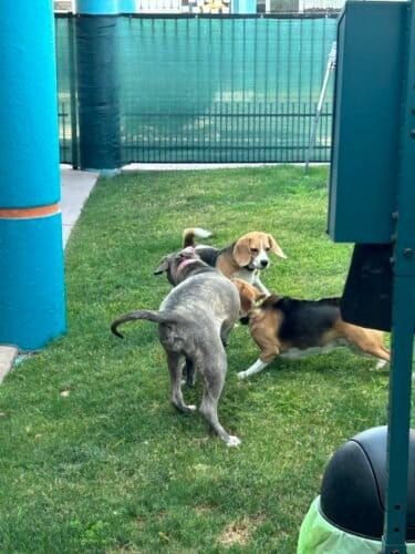 AC9h4noe 4bld2NdFia7fye n3KSKR1EhY4ld8Zy7C2T9H9i7 M57w83C2KXEOcGRqIs xq44s2TdAqqSYWrb48 Q1jMknp9 4NEzEP7q6945 q2rzWsw4yrMAICHZsdkXUAyXYtK2lOCww1600 h1000 k no