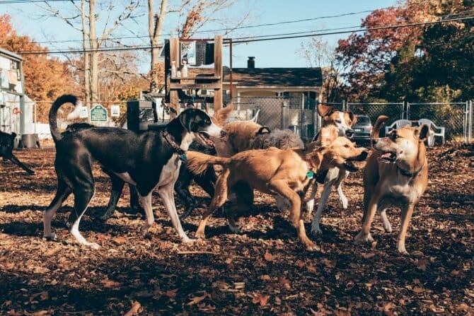 AC9h4noe ooxXWywZgLYbNB0TIy7zW3qaEAE92eZL YBXH2Zn67grVNcjTGVjjm0xP1xtIvi 12LUeOd6RUwUVFyj6FzC6v8Bk1oEFL 3gHJj7jLqWV05fg 1e 9DRVXgkTDyACS3eYiw1600 h1000 k no