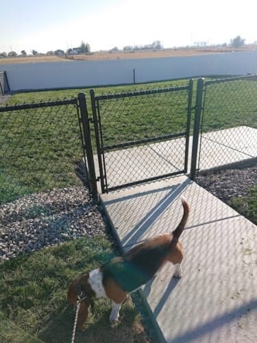 AC9h4noeGjf24gryJnZD237iP2DBro8gQLAmd1sElF7JkvzS6jWI0MTWjQEIJZ7uOrYFrHOhk7vld  Zc qNvb Qx8nLt oqTBMOCbdEP wy8nfbWQyBGuuGJOJlXQd3JN 0 kyIo4J iQw1600 h1000 k no