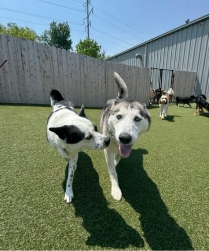 AC9h4noeJJMLmB53ddwcbviL3gxCExS6sr97ArBVo3SHtfYqqvL7BK5k5v1ZgaaP 7KhfXmxVPSpPbJy2jNGIEHpHjtdwALx FCwQNPqV85SZygWxP23fJqmZeOcX3ZH99tyZWiptsQtVAw1600 h1000 k no