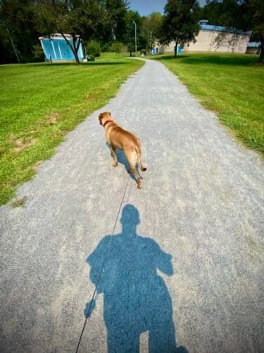 AC9h4noeK0jaoaNqA1ymoogykXTx6hNcTc9xTBqyxBaGsLNHROK2JP9UTxAD3F2VM1FNnvgF tgp4yX3q3g8ekTtYxK 2JcOdZ KD82Hv KP4NY3PfwJ49XKmcWAroTrbcm3vZd3zeyrw1600 h1000 k no