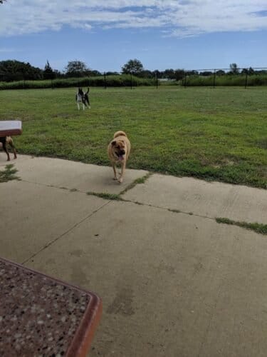 AC9h4noeQJRVsuCwR1lCxGHL ndh7T1qR ZrBN e1JNTz2NA 1iJRt2yyDICC4 mBQK6uG3r kcDP0XNPhcaJtZqG9gfxDnxuQkY1u nVNAw1600 h1000 k no