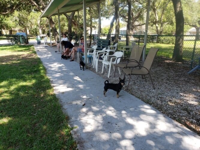 AC9h4noeRjOmZ7cIaszIUT38C13dIWk7PrBS6gpTL8zA4jsTuKxkTL92RFU3 LFbWNVWL jjpmCRMyQbf2euht3o9BhGZQoml3SJFyXsR8yrK Gy3PGP40M skrda0RHxSy2YfyQaBLkw1600 h1000 k no