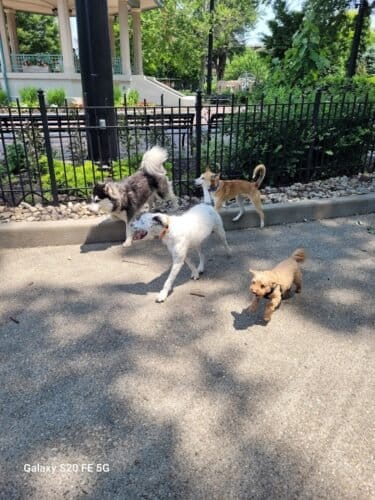 AC9h4noeTyYg1 e 6tj5EGfGwEUhMY Hqk3w3NJZZEGNAiPdGQtwy72dSnd9qAjBdeeaR0HEv484gTN6Sk0W5powqjuU 9f0qHgJFAaxCdi7jAnaXAfM68K3gsrOfeyW7dn9kbbTE63FaC6fzS bw1600 h1000 k no