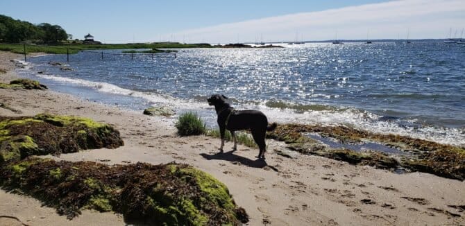 AC9h4noeesyUrJrKEhjilzt4gW IcBq3pVR7VvrbpdcLoJ6vwLIMCRFcz Pt2U8BphhA7DhAo6Io5rhwtLh74FLqvlWJwNLuDgCYdgctatyB6BCJJO2Y CYJ56zXJphY2dzYTTZIXG6dXQw1600 h1000 k no