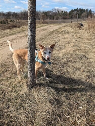 AC9h4noekDzQdeXmG1jMSgwvEyHF1QKrDY hbzlpaltuzrrWtGnmtkFTtknTvWF4LVyvFBBluyC67si31u5lcsZ0q7aEDVUm9pUpj9FpzYidTdi4fZ4U7tWyBOM10eOlF LQ3q5DpoOmw1600 h1000 k no