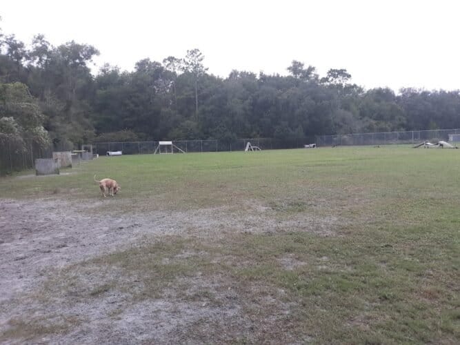 AC9h4noernlitIr8ZC5wPcdk5i bAlHKHW2GfZNOm3V815vpuMmYbG7z7OJonQCJL5nq2q4tCvHRW2hDPVMIcUu2XrumxOTxrfvDfHWTJPsO8ALrbec9eZquXAjo06bL5QgkKcje4 Auw1600 h1000 k no