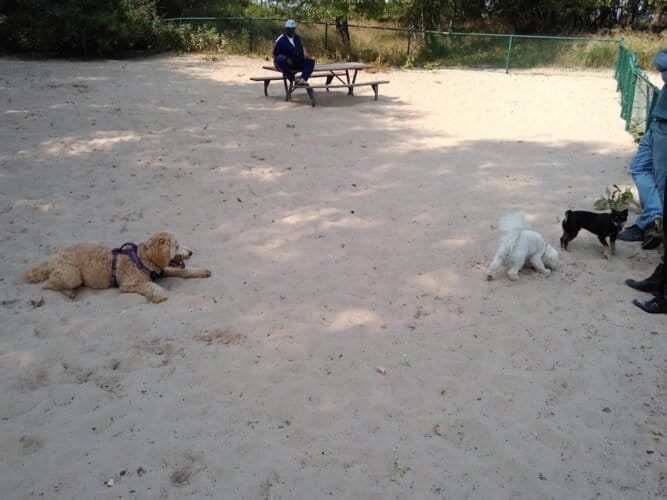 AC9h4nof93 xqlxyWgCgCSiGqJLbBhM7156uSiEvLOB ynGmeEhJ9yDyvfbsB rhvonhIO pBysgD6v41j01aDJJEqGF8uX9IxGs6FOodAwhyTPsG4WNvmluNwqr0Rv4dGRjIwdzaonWw1600 h1000 k no