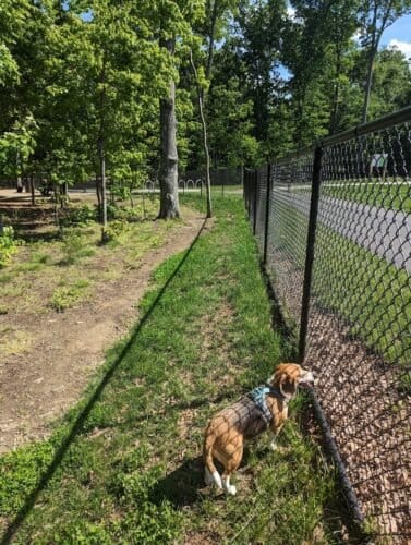 AC9h4nofBnyoXg5xCj8MyjUGDjkz4hRzevutx8Kn3eE pFNgtLyUPeL Tubu1cEVHYzqKc3rXcHT2DvrRmFzJayw5hQ0kICVXiFLPAHBGDXBiDTwIATcu 9QusrR5fxmApwJysc74Bgw1600 h1000 k no