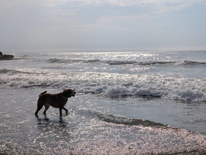 AC9h4nofCu36WmtVE4Hrpj4Br6FipE4kmLNpTl65AQUBYwi8BiMZT gQdpMqCRBTwdv4X0K22vyhSH2Iy4ZV67r7Jrle1d9g3tMv29ON4JuRlAgGny4dHYCj8sCTxs5emBocn ZBL41pqWW24u5dw1600 h1000 k no