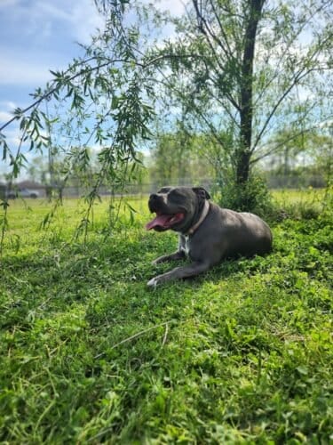 AC9h4nofKo2InsP6pA m Cte1AkkxQ8nCQTZ5O3qDwjxHfIN7mOmWEVIetoZr4mu1Ovy1sjmTh5CcNmbyPAKvnMT1E2tjBRKY4eSibUNS3eiRd0048gDc7v2Y79xgwFj8m9HT6KKGqEDKAw1600 h1000 k no