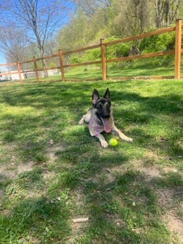 AC9h4nofQh8gKWrQkt MN9NGvSvR4AuiAbMukGOWU gKyEet NwSwEpDYrxM9WaZWk4Olkj2sdve0jhBQWbAxohk J aaYTAfEnXOMrN79z7oInQtyaL6OvPZi74SCqDYSBrDPU Fg11w1600 h1000 k no