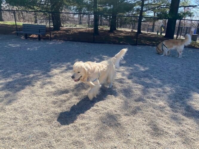 AC9h4nofWY3smqtCjFWzw2BNq4l XMa0Jx7jvjImliOkuVoP8vmdHpk0FnqFn Oav DruQ9f4tMQqpOy5o1NUnjK GG671I IMgaTZ0Gw1600 h1000 k no