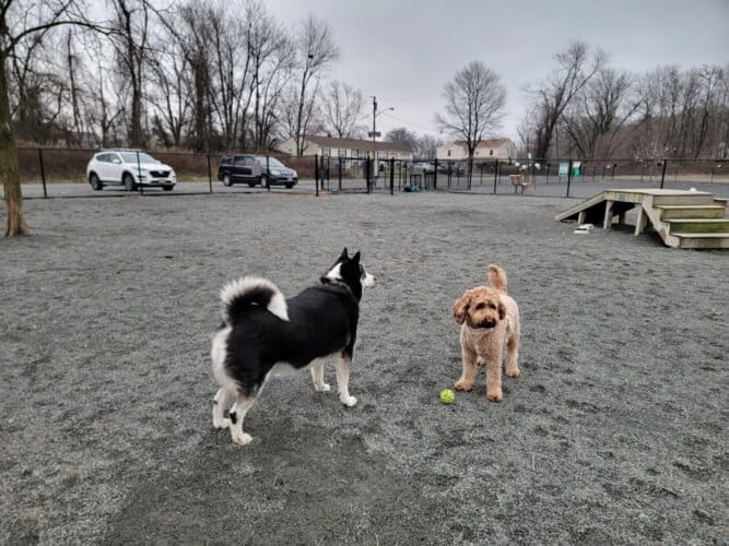 AC9h4nofXhikAmdZnm2GQ0V4vjZDqRmJ5F3VFJEevWvkDa sAbrncbTKW7OzA1FNVskwxfN8plIps1XwpfM ug5ltVTJOd7SZXwXybTJqwFfEotuS8jRGjd HASCg00Zn M2pWtYNpHKDww1600 h1000 k no