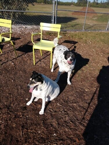 AC9h4nofZrgqQH3wWCbYrW7b2QRtp8iCfd1PJ2vlL8N0ispO3EM2gQ iDzZw9ZGg2JtMdI WVPNeOHx0au2ylTm l8OCQnDo6xioI9gzhLvHNi6bSiN If8d DjRRFVRFNfQododsXsw1600 h1000 k no