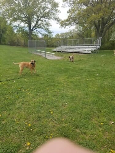 AC9h4nog5 q odQVh3p0VradIUUsl63ntzbM7fP70r 6u6PREyAu7YQKD Vi2zWh7VWLusc0eEFUMVXmbQ52yL3ZG6ZT2wg6IsPWBxkZ1l0XSdxLoJX7GhCBp2VkndMQnme4mbuHZan2w1600 h1000 k no