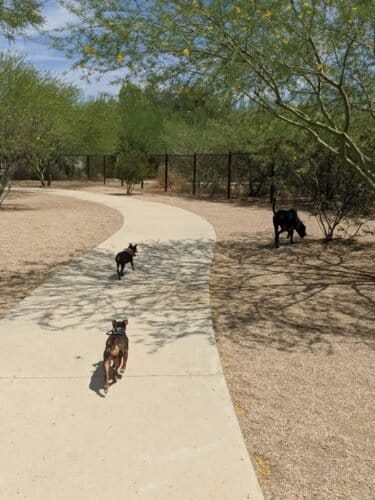 AC9h4nogDKNQUXbfRASYDYgUJKVF0K78Fj5Vu444JS4BXBFxtr pSUnWMhOK8WgRJxuqnp6ilvrt5a97oJBf2TuASG9oA4XWpGfD8AY5xjEh0fjpHWwdwGqARgNsLEqjDz61iImQ8yYw1600 h1000 k no