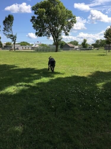 AC9h4nogKEN0C8YefbUZHscvnqnTl7wFiFCi wrMfjeKMthNN4H0vKFOS qEpVFXZwldmorMOHh3Vhp9kPCG t 0jsQX dkL34cRxNNlCO2cnzS4GzbAsDY79GBzvIvDyKW2a9vsyaIJw1600 h1000 k no