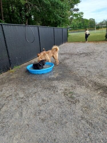 AC9h4nog dU UL8nDudgBew0FHBK3Bn1GfgVUmcWi6fwvBQX1pTRTuN MiL08CGNBt8Sriri2BDNim1w n1pza6C2fXs4nyHrzpmAPOwnTEpheMJd5s9Zy61wX3xg gnjbrLy4GVsKv8w1600 h1000 k no