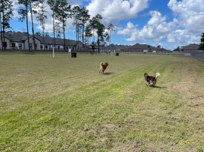 AC9h4nogqOPIljenO4n631BWGeorp2g3W6KRb2uv0k8Ma4WQW iki3iQOZ Xbq40cRDOVlSNJGM6iPCFvcrZnmC4pnaTx1ZQq7raIsKP5E3L bHjmJ7RB35hSQl02EcmgYLBcjqUYS4w1600 h1000 k no