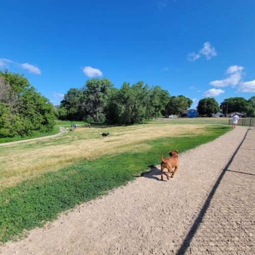 AC9h4noguU rJ2svrwPX1AjDeMaGuBfToq0IRNi4uTJzlXCDlz2VFWClhR8nB3B05JrhJDNH7i2SsJeyIG38RwzOqSW2ZbbrNr6WQcynZf0bnjGomohUxgUf1NdH O3imELQBpN5MrLnw1600 h1000 k no