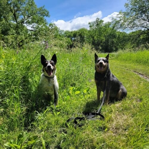 AC9h4nohB9cXDKRgjhqvsmFGxOSFFKVaOKWLckD6yTYWd0MFoLNLRG9A6 nq3JnxEq7uoXnbu0VqaODnung IYWQbrivOnpWwjApCIHpavkw1600 h1000 k no