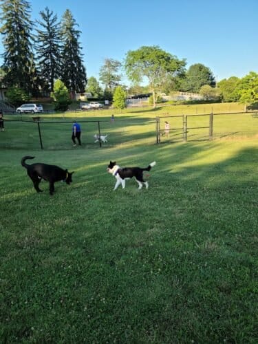 AC9h4nohEgK4KVHINBuCu2OM4AZNuGEa58owDDdLtnPHv z 1s60zn4yfj Ebx2kPb15s9bZ6 FX0h1GHwCDsUiAT4ihwtEmyF8OHrgPfh6sCLmZqOV8lamgwS7RhBg bI6Oo56Dudxdw1600 h1000 k no