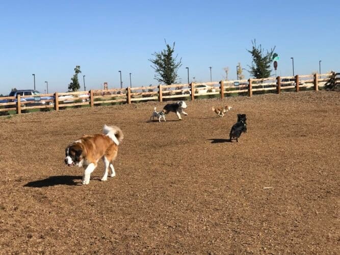 AC9h4nohRuoG174iVde3ADpciUDDN 2f6lmAXffgc6pIV xd8HbEwKELYoEApeMUN2mOSdlmKzfI7Hhdxno6xk8hxOWvLD0 MTm5QzdvhBOlZ sCe okHbSFoZLq6EWXIpQ5AKy9Vm0w1600 h1000 k no