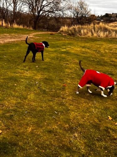 AC9h4nohV2glLDufOgpISCn5Sg0qm NhKXEtF0a3teZkCM976PnpppuV26l bS2kPQjB2woZwTYCUeJxFkVrLQtGr9lxoF27mG2DuCVj gw1600 h1000 k no